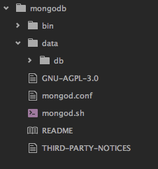 MongoDB könyvtár struktúra